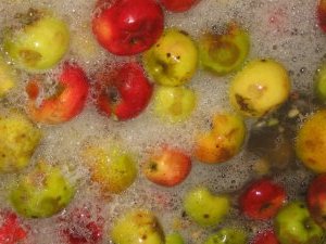 lavage des pommes